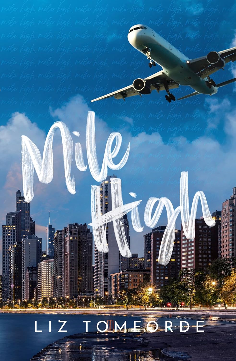 Curvy Romance Spotlight: Mile High by Liz Tomforde